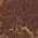 Burnished Mahogany Crackle