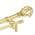 Brass color or pattern variation