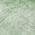 Green color or pattern variation