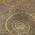 Brown color or pattern variation