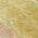 Gold color or pattern variation