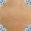 Teja with Blue Deco color or pattern variation