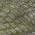Olive color or pattern variation