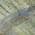 Khaki color or pattern variation