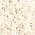 Cream color or pattern variation