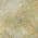 Gold color or pattern variation