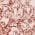 ROCOCO ORANGE color or pattern variation