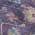 Eggplant color or pattern variation