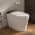 Black White - Auto Flush color or pattern variation