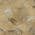 Gold color or pattern variation