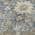 Ivory color or pattern variation