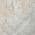 Ivory color or pattern variation