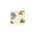 Ivory color or pattern variation
