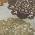 Earth color or pattern variation
