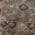 Brown color or pattern variation