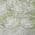 Olive color or pattern variation
