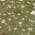 Olive color or pattern variation