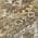 Brown color or pattern variation