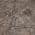 Brown color or pattern variation