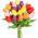 Multi-Colored color or pattern variation