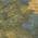 Blue color or pattern variation