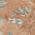 Terracotta color or pattern variation