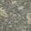 Gray color or pattern variation