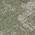 Olive color or pattern variation
