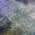Purple color or pattern variation