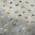 Gray color or pattern variation