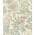 Cream Pink color or pattern variation