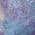 Blue color or pattern variation