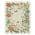 Beige color or pattern variation