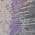 Purple color or pattern variation