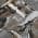 Gray color or pattern variation