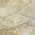 Beige color or pattern variation