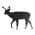 Deer-Burnished Bronze