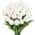 White color or pattern variation