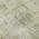 Beige color or pattern variation