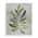 White color or pattern variation