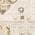 Beige color or pattern variation