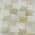 Ivory color or pattern variation