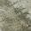 Pewter color or pattern variation