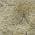 Pewter color or pattern variation