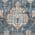 Blue color or pattern variation