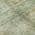 Green color or pattern variation