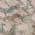 Pink color or pattern variation