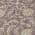 Plum color or pattern variation