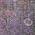 Purple color or pattern variation