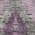 Lavender color or pattern variation